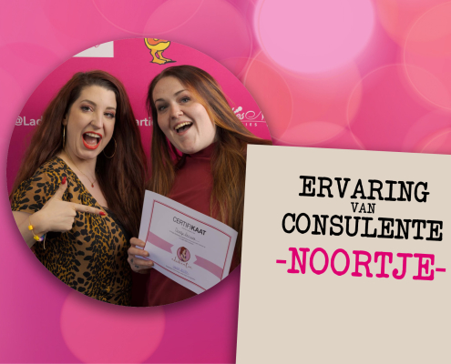 Ervaring Consulente Noortje